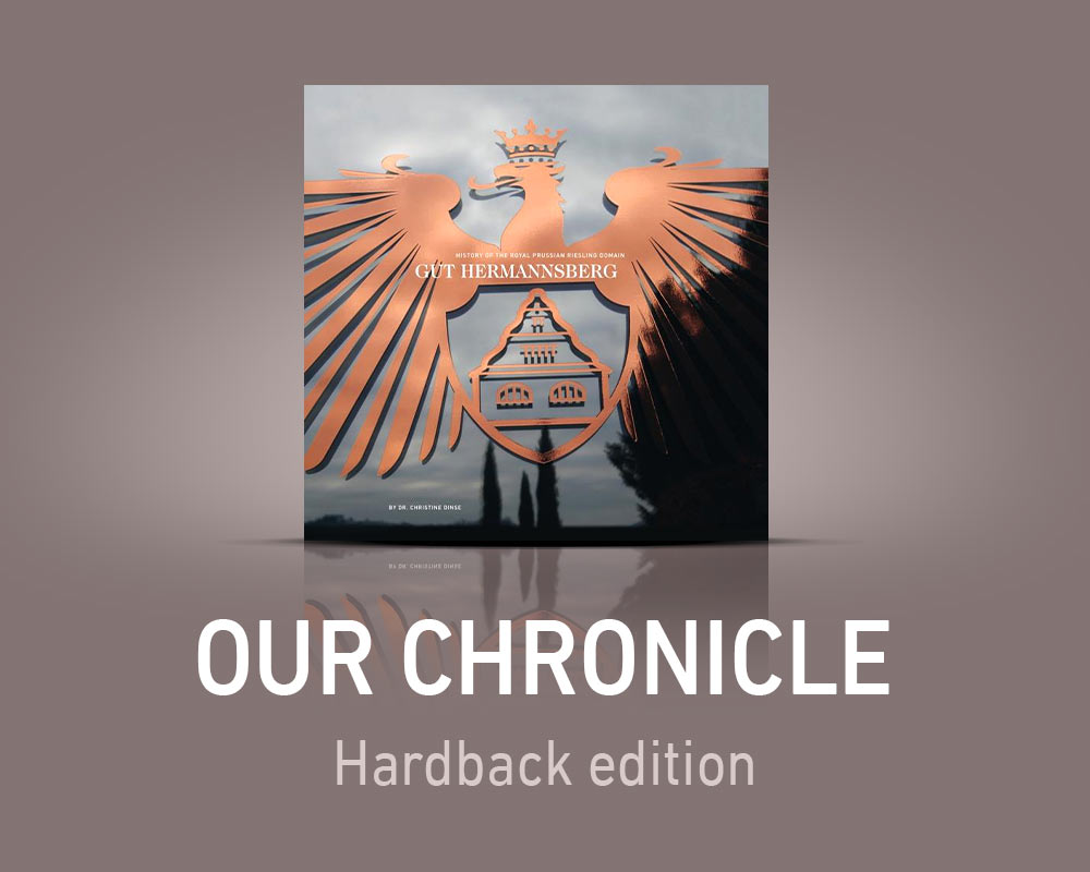 Banner Historie Chronik