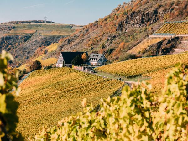 Weingut