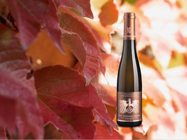 100 P. 15er TBA Anzeigenbild