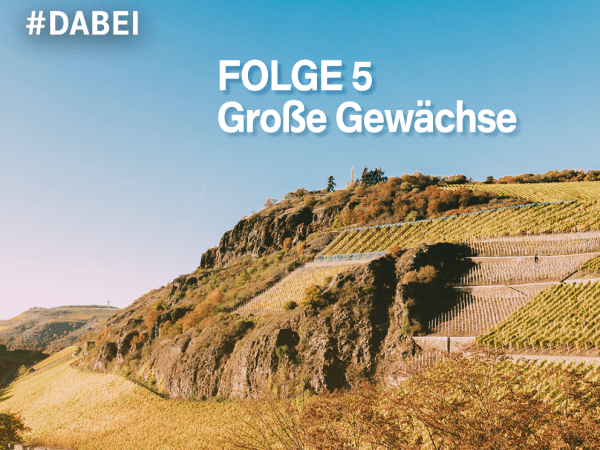 Folge 5 die Weinshow