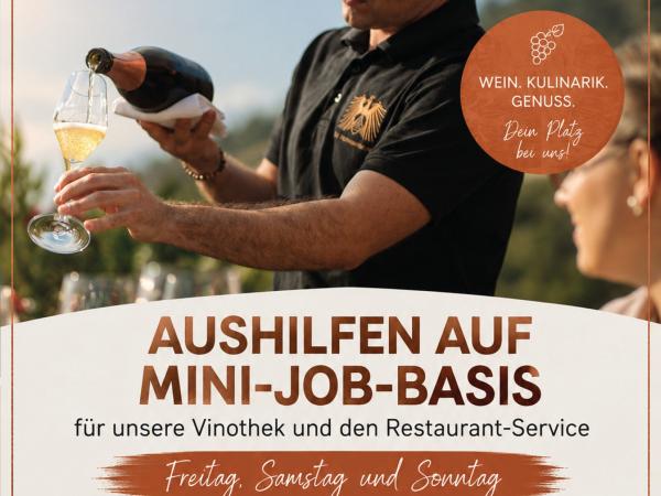 teaser Aushilfe