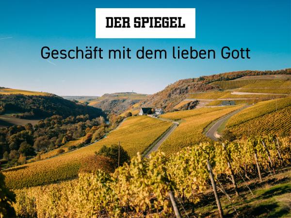 Der Spiegel