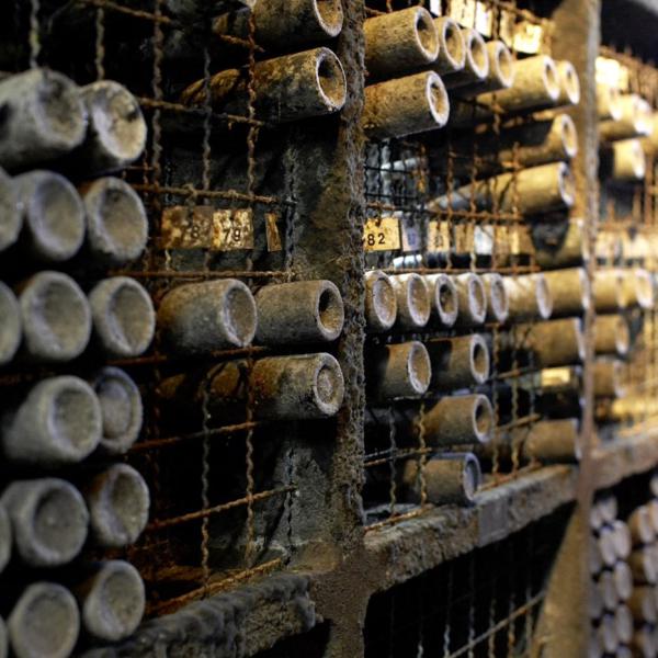 In der Schatzkammer lagern Weine seit dem Jahrgang 1909. Der Staub eines Jahrhunderts umschließt die Flaschen aus alter Zeit.