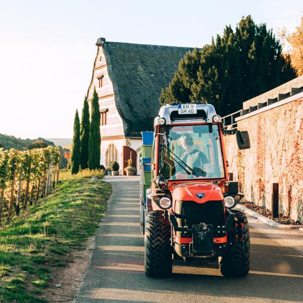 Unser Traktor bei der Weinlese