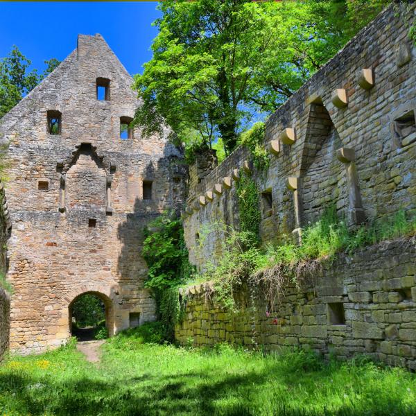 Disibodenberg Klosterruine 